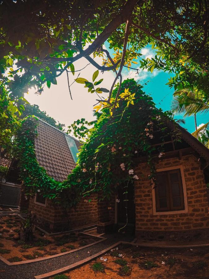 Sky View Cabin Унаватуна Екстер'єр фото
